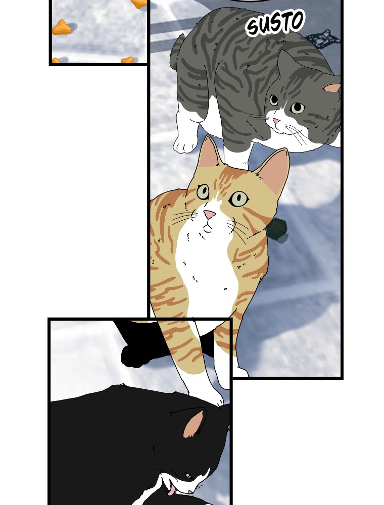 Imagen del webtoon 54